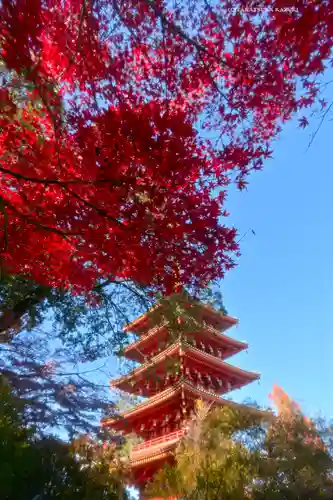 高幡不動尊　金剛寺(東京都)