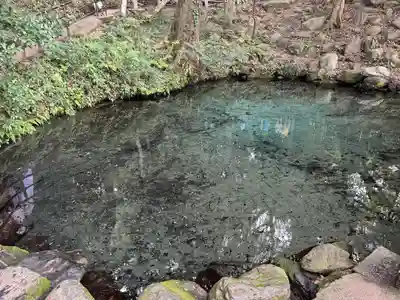 泉神社(茨城県)