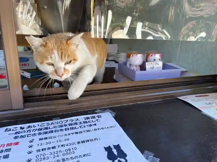 佐野赤城神社(栃木県)