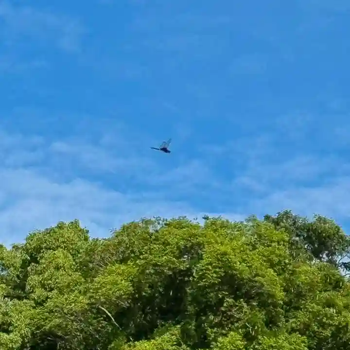 伊勢の国 四天王寺(三重県)