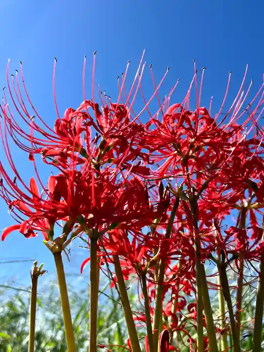 瑠璃寺(長野県)