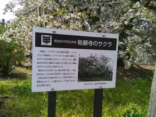 称願寺(山梨県)