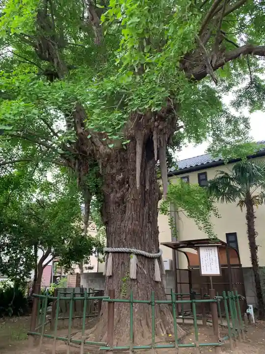 神明寺(千葉県)
