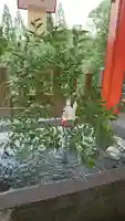 扇森稲荷神社の手水舎