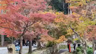 大原野神社(京都府)