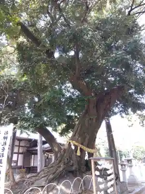 豊川進雄神社(愛知県)