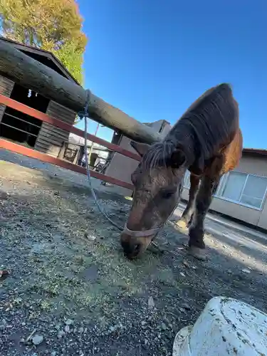 小室浅間神社(山梨県)
