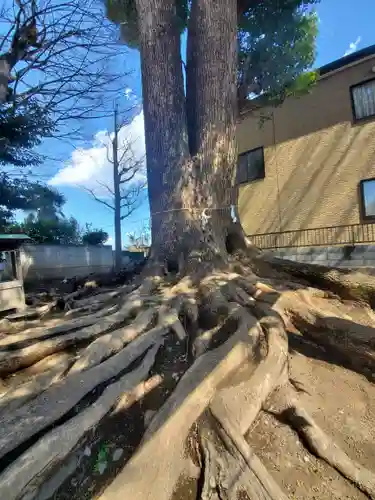 宮鍋神社(群馬県)
