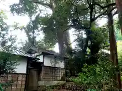 武速神社(静岡県)