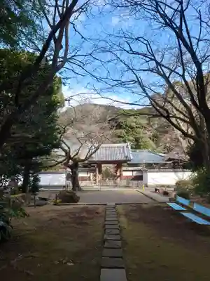 早雲寺(神奈川県)