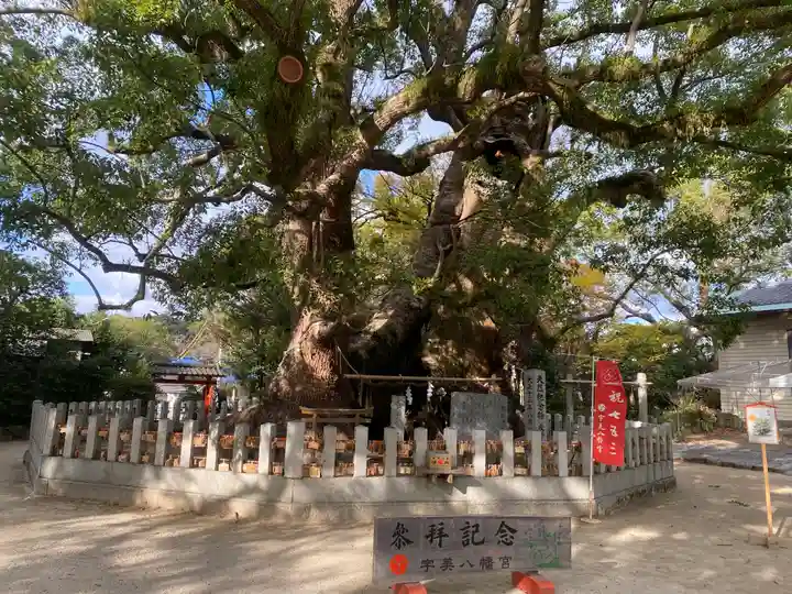 宇美八幡宮の自然