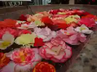 阿邪訶根神社の自然