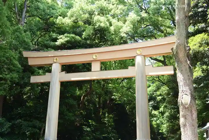 明治神宮(東京都)