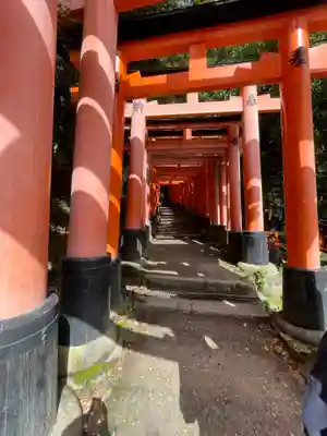 伏見稲荷大社の鳥居