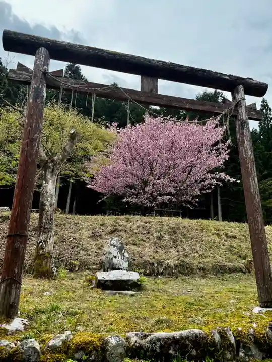 春日神社(京都府)