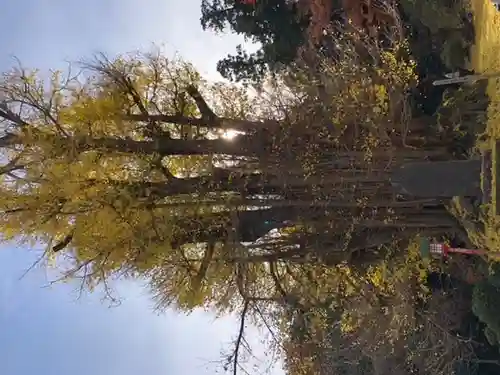 正法寺(埼玉県)