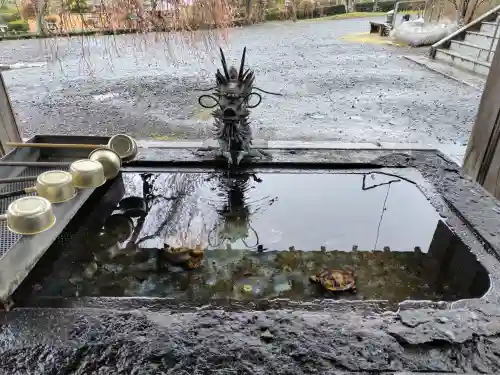 南湖神社の{uncategorized: "未分類", other: "その他", undefined: "問題あり", building: "その他建物", grave: "お墓", sacred_gate: "鳥居", guardian: "狛犬", statue: "像", buddha: "仏像", history: "歴史", nature: "自然", garden: "庭園", animal: "動物", pagoda: "塔", temizu: "手水舎", mountain_gate: "山門・神門", sanctuary: "本殿・本堂", subordinate: "末社・摂社", art: "芸術", scenery: "景色", jizo: "地蔵", ema: "絵馬", goshuin: "御朱印", omikuji: "おみくじ", items: "授与品その他", amulet: "お守り", goshuincho: "御朱印帳", eats: "食事", festival: "お祭り", votive_dance: "神楽", shichigosan: "七五三参", wedding: "結婚式", experience: "体験その他", initially: "初詣", around: "周辺", anti_infection: "感染症対策"}