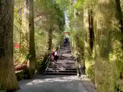 箱根神社の建物その他