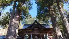 三峯神社(埼玉県)