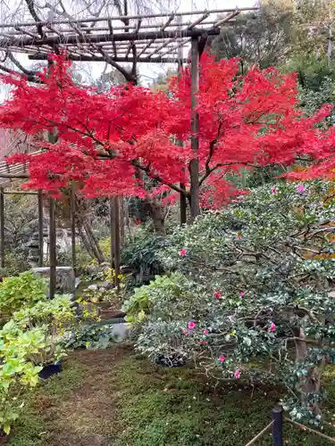 一條殿 新善光寺(京都府)