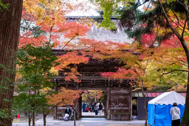 大矢田神社(岐阜県)