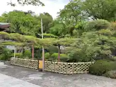 林光寺の庭園