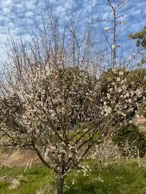 宮原神社の自然