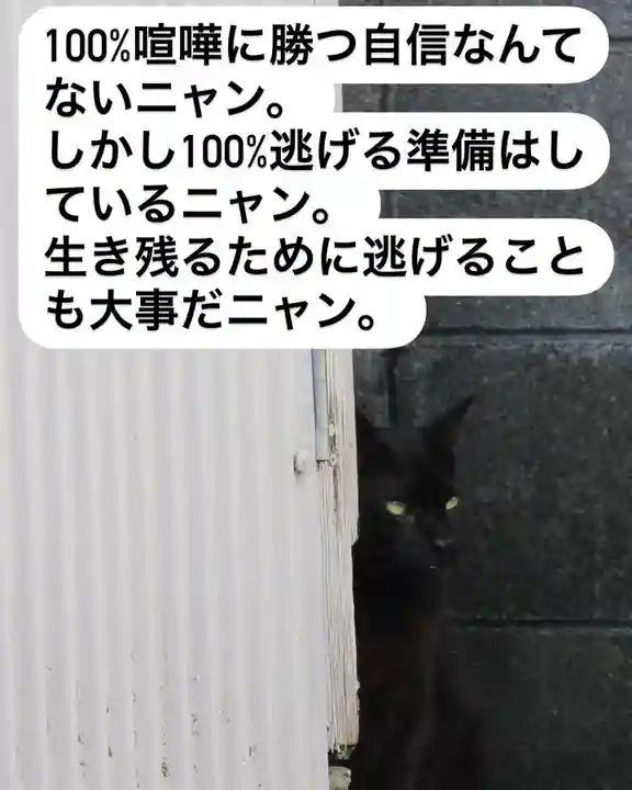 専念寺(大阪府)