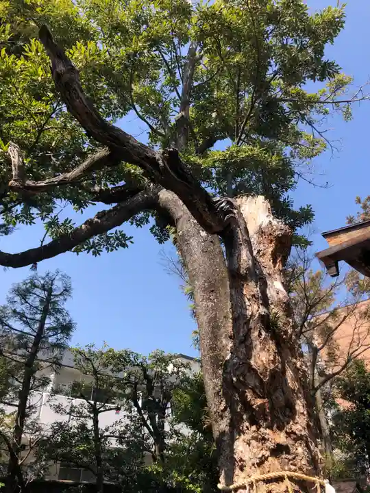 大将軍八神社(京都府)