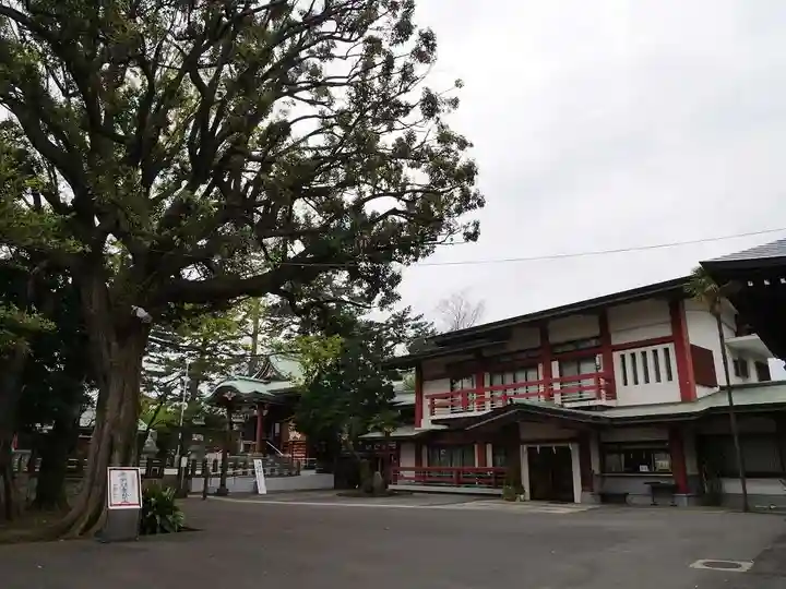 瀬田玉川神社の本殿・本堂