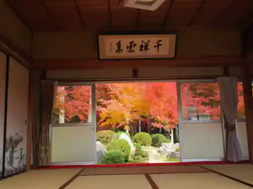 櫟野寺の本殿・本堂