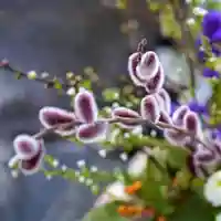 滑川神社 - 仕事と子どもの守り神の自然