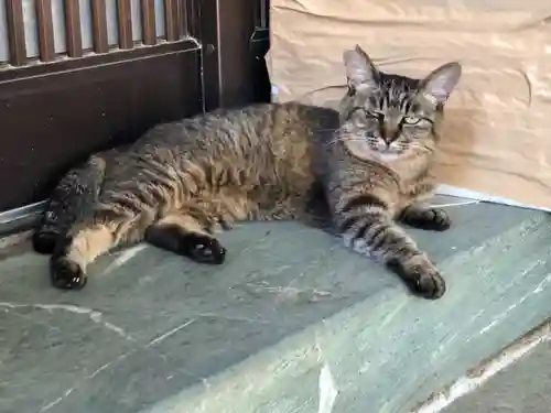 王子神社の動物