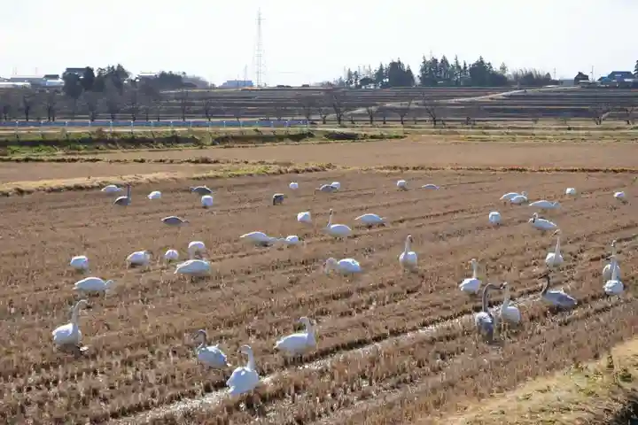 大鏑神社の周辺