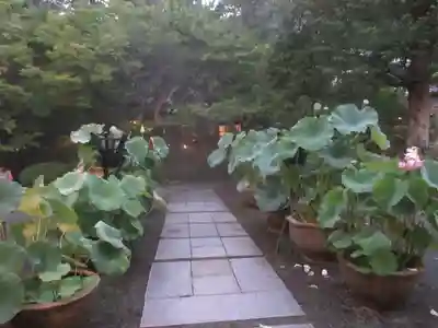 覚園寺(神奈川県)