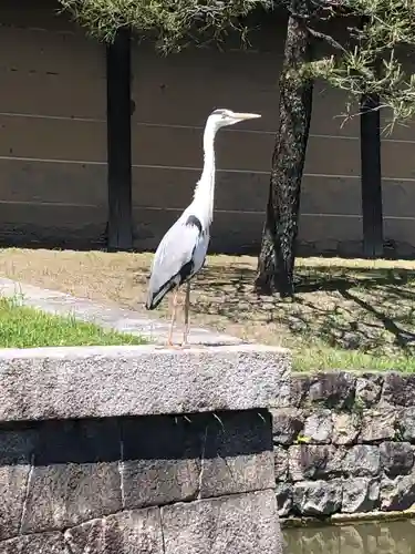 東寺（教王護国寺）(京都府)