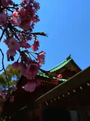 根津神社(東京都)