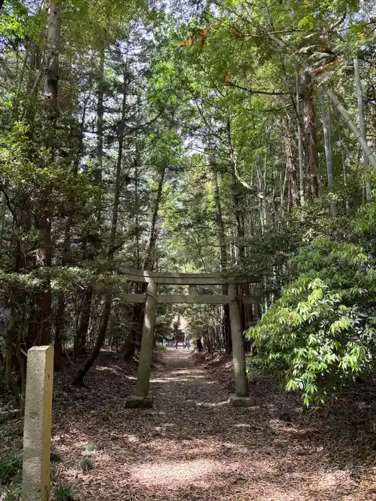 胎安神社(茨城県)