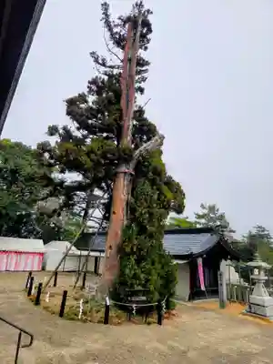 吉備津彦神社(岡山県)