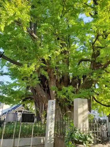 善福寺(東京都)