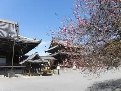 興正寺(京都府)