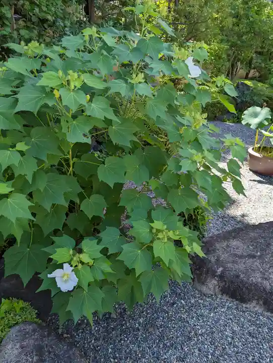 休務寺(京都府)