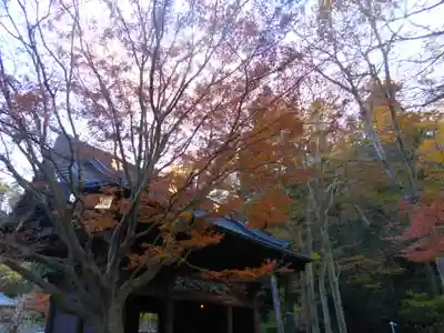 妙本寺の山門・神門