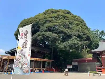 大前神社(栃木県)