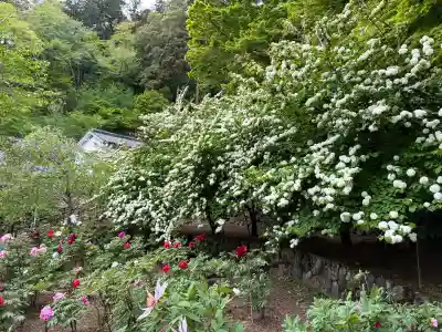 長谷寺の{uncategorized: "未分類", other: "その他", undefined: "問題あり", building: "その他建物", grave: "お墓", sacred_gate: "鳥居", guardian: "狛犬", statue: "像", buddha: "仏像", history: "歴史", nature: "自然", garden: "庭園", animal: "動物", pagoda: "塔", temizu: "手水舎", mountain_gate: "山門・神門", sanctuary: "本殿・本堂", subordinate: "末社・摂社", art: "芸術", scenery: "景色", jizo: "地蔵", ema: "絵馬", goshuin: "御朱印", omikuji: "おみくじ", items: "授与品その他", amulet: "お守り", goshuincho: "御朱印帳", eats: "食事", festival: "お祭り", votive_dance: "神楽", shichigosan: "七五三参", wedding: "結婚式", experience: "体験その他", initially: "初詣", around: "周辺", anti_infection: "感染症対策"}