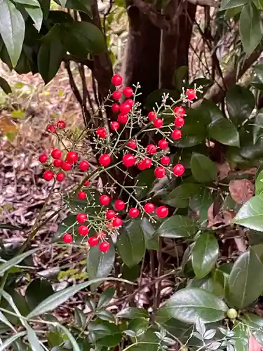 白金氷川神社(東京都)