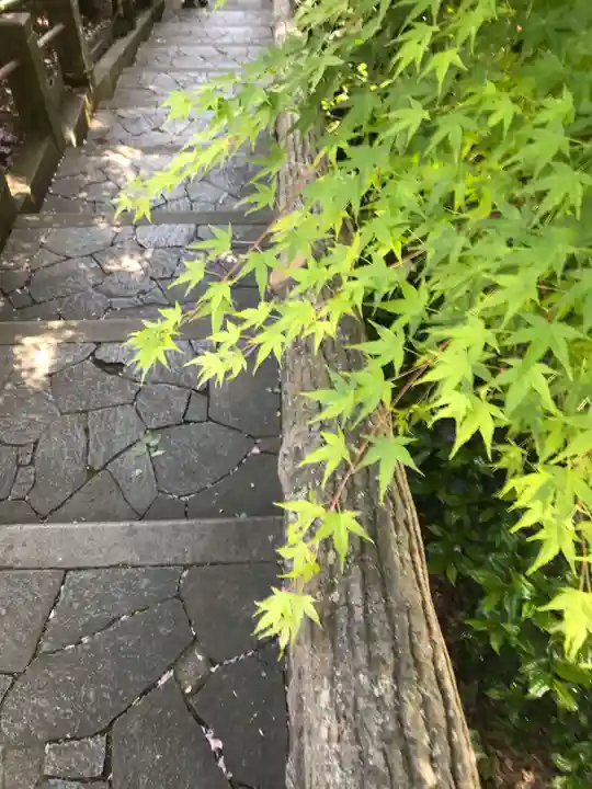 東長谷寺 薬王院の自然