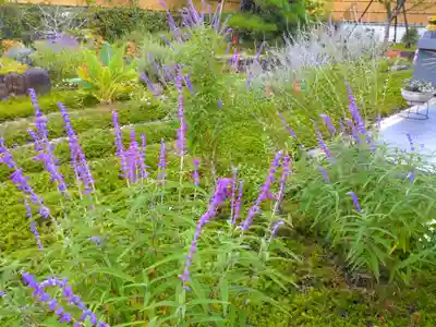 寿量山 速成寺(奈良県)