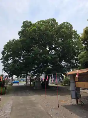 島田八坂神社(栃木県)