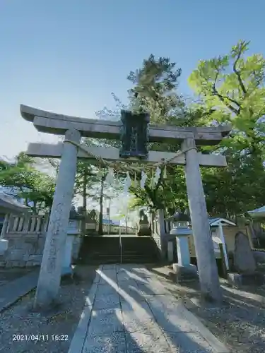 玉前神社の鳥居